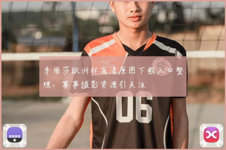 李丽莎欧洲杯高清原图下载入口整理,赛事摄影资源引关注