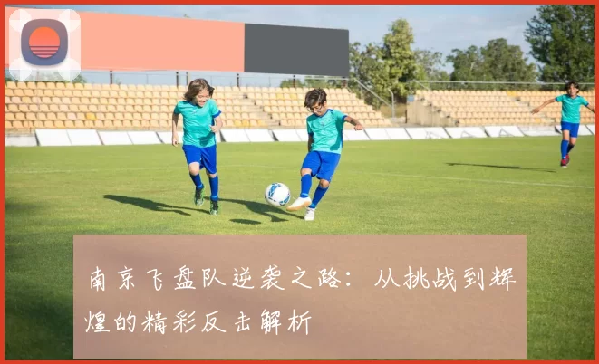 南京飞盘队逆袭之路:从挑战到辉煌的精彩反击解析