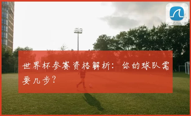世界杯参赛资格解析:你的球队需要几步?