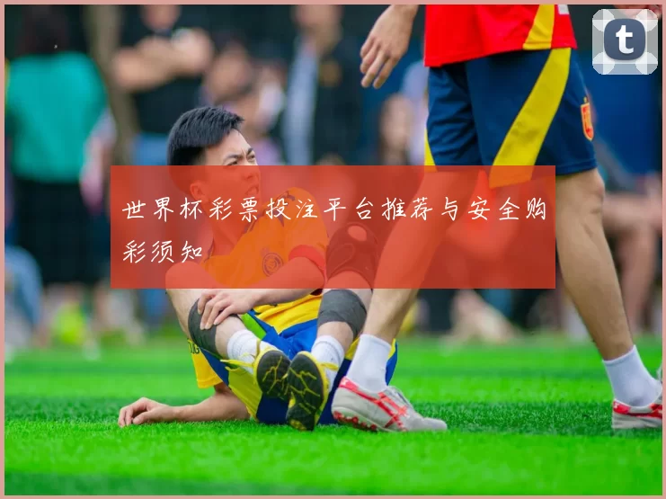 世界杯彩票投注平台推荐与安全购彩须知