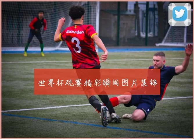 世界杯观赛精彩瞬间图片集锦