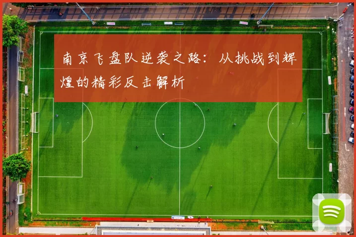 南京飞盘队逆袭之路:从挑战到辉煌的精彩反击解析