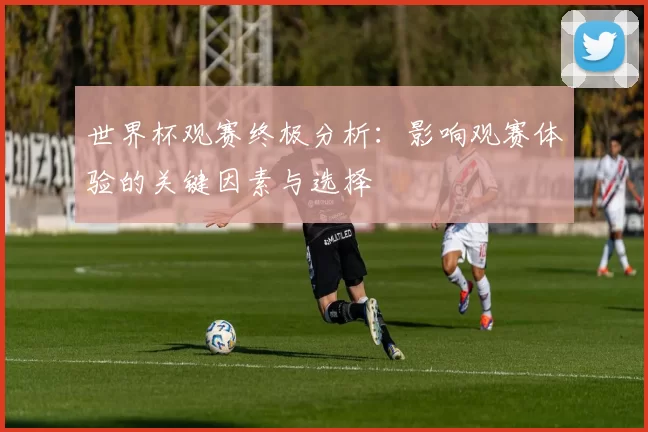 世界杯观赛终极分析:影响观赛体验的关键因素与选择