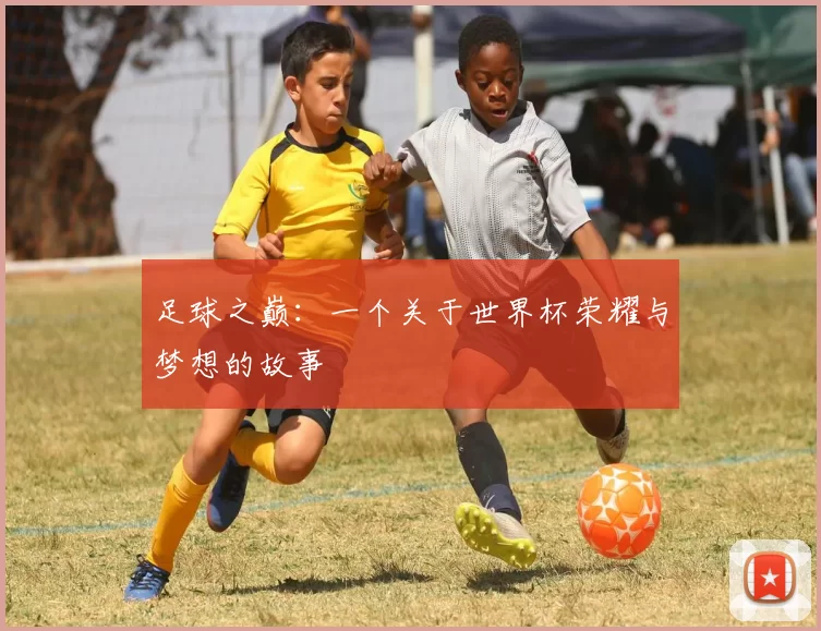 足球之巅:一个关于世界杯荣耀与梦想的故事