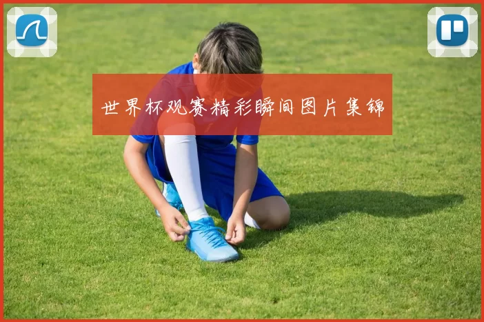 世界杯观赛精彩瞬间图片集锦