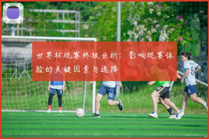 世界杯观赛终极分析:影响观赛体验的关键因素与选择