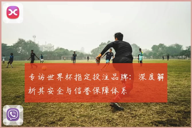 专访世界杯指定投注品牌:深度解析其安全与信誉保障体系