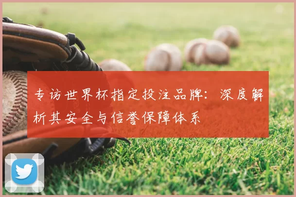 专访世界杯指定投注品牌：深度解析其安全与信誉保障体系
