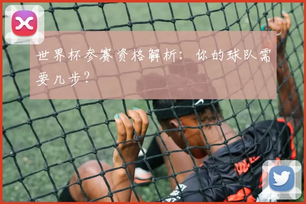 世界杯参赛资格解析:你的球队需要几步?