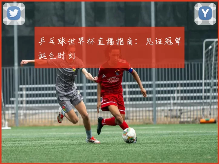 乒乓球世界杯直播指南:见证冠军诞生时刻