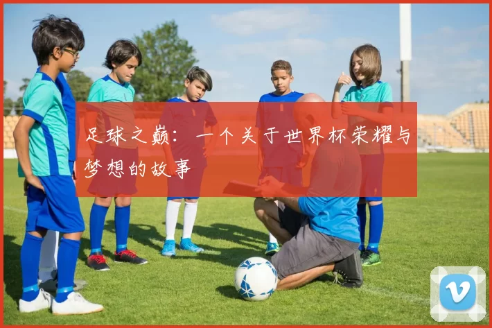 足球之巅:一个关于世界杯荣耀与梦想的故事