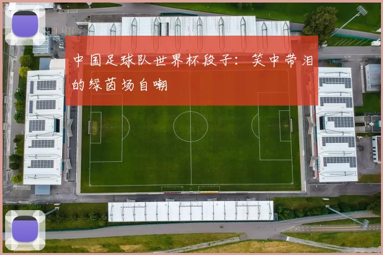 中国足球队世界杯段子:笑中带泪的绿茵场自嘲